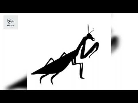 grasshopper sound effect