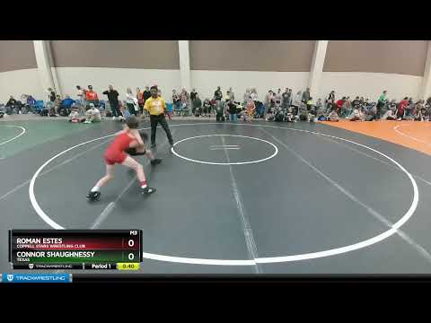 90-95 Lbs Round 2 - Roman Estes, Coppell Stars Wrestling Club Vs Connor Shaughnessy, Texas E2f7