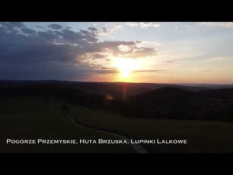 Huta Brzuska, Lupinki Lalkowe z lotu ptaka