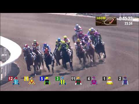 31/1/2021 (385)  Lucky Fun -  Z Purton