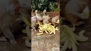 पीला पीला Banana🤣🤣#ytshorts #shorts #funny
