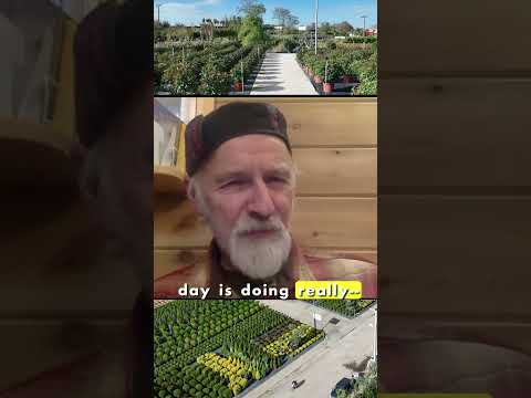 Traveling Tree Sales Net $30K in a Day for PINA