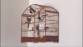 MONARCA