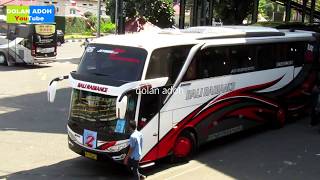 Download lagu Bus BALI RADIANCE Jetbus SHD2  Mercedes Benz  OH 1625 & Bus PURNAYASA mp3 Download lagu Bus BALI RADIANCE Jetbus SHD2  Mercedes Benz  OH 1625 & Bus PURNAYASA mp3