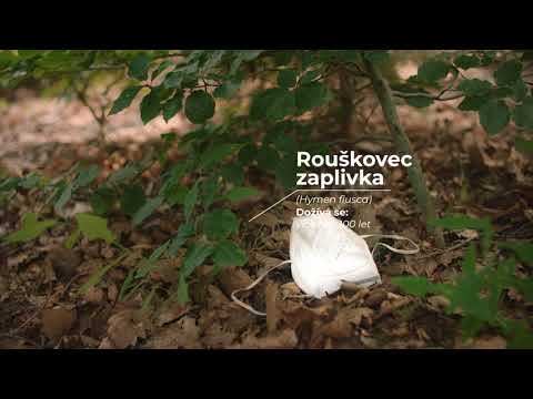 Náhled pro video reference