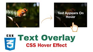 Hover Text Over Image HTML & CSS | Overlay Text On Image HTML CSS