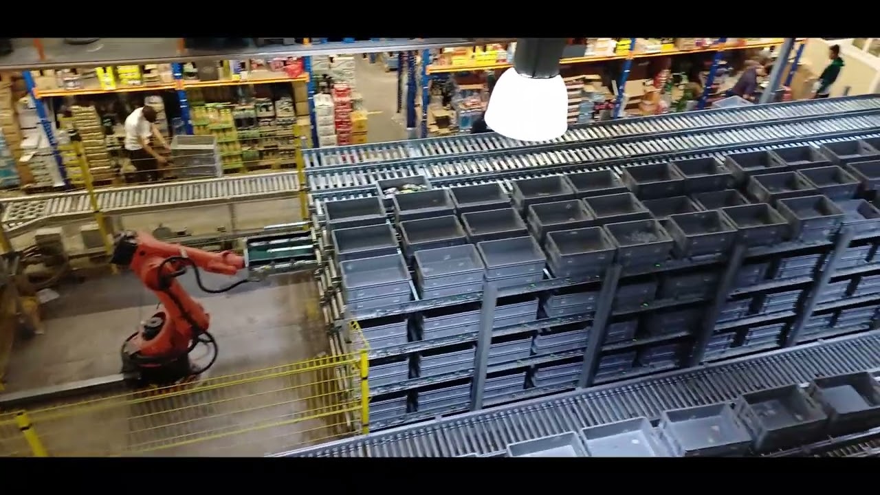 Logisoft Robotic Buffer Storage for Order and Bin Handling