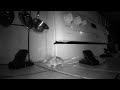 How To Keep Your Kitchen Mouse Free