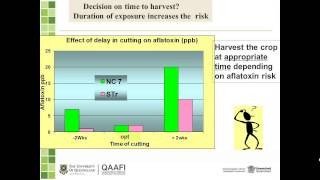 Management of Aflatoxin in Australian Peanut Industry