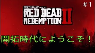 レッドデッドリデンプション2 RDR2 #1　ガンマンライフスタート！