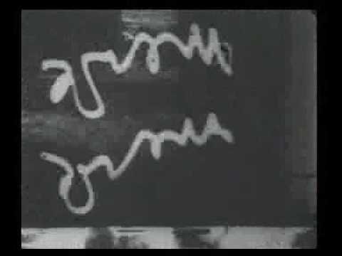 Christiane Guymer - Le Témoin ou la Timide Espérance (1984) part1