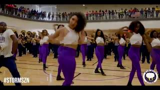 Marching Storm | Out on a Limb | 2019 | Pantherland Day