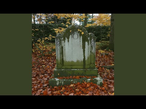Jeshua Hundt - Dash Between The Dates - Misc…