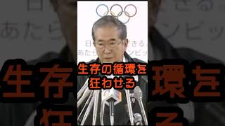 鳩や猫へのエサやりはやめろ！ #石原慎太郎 #政治