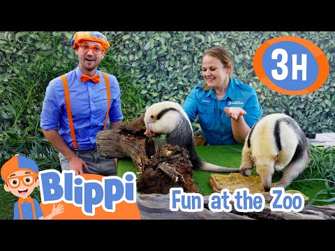 Learning about Fun Cool Zoo Animals + More  | Blippi and Meekah Best Friend Adventures