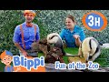 Learning About Fun Cool Zoo Animals More Blippi And Meekah Best Friend Adventures