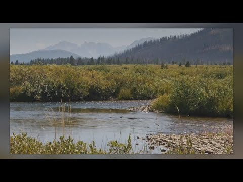 Salmon is sacred to the Nez Perce. Dams are significantly affecting their fishing