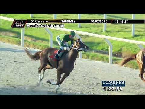 230210 c05 - ALCOMPADRE - HIPODROMO DE MARONAS