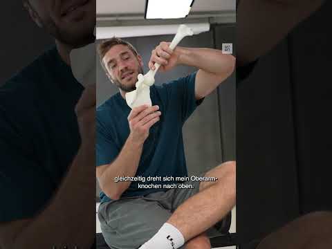 Was bedeutet Scapulohumeraler Rhythmus eigentlich? Und wieso ist er so wichtig zu verstehen?