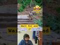 Pondati Ooruku Poita Duppingdappa Funnyanimals Funny Comedy