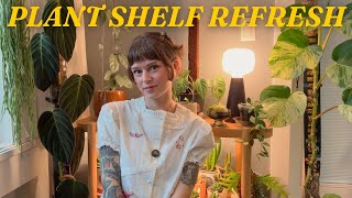 styling my houseplants to create a cozy and relaxing home 🏡🕯️🌿