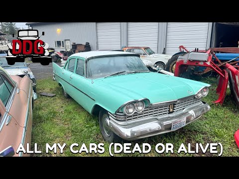The Mold Takes Hold - Dead Dodge Garage's Winter 2025 State Of The Fleet (Plus Bonus Cold Starts)