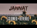 Jannat Bpraak (Slowed+Reverb) | Sufna | Jaani | Ammy Virk