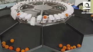 Orchard Innovation: The Magic Behind Automatic Fruit Sorting