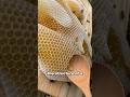 Why are Honeycombs Hexagonal?🤔 #shorts