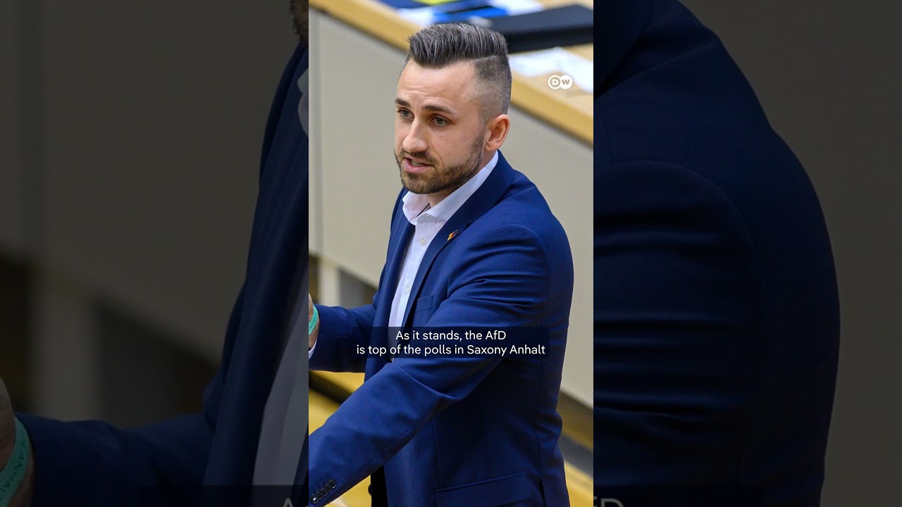 The far-right AfD's 'radical' vision for Germany? | DW News