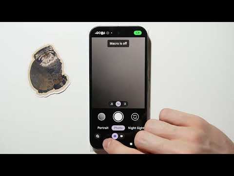 Pixel 10: How to Capture RAW Photos