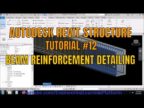 Detailing of Reinforced Concrete Beam in Revit Structure