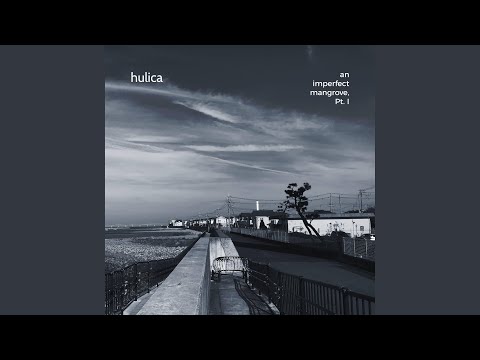 An Imperfect Mangrove, Pt. I