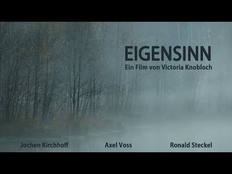Film Eigensinn