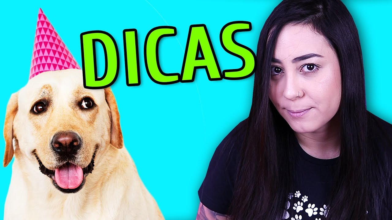 FESTA DE ANIVERSÁRIO DO CACHORRO