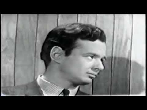 The Searchers  What Have They Done to the Rain  1964