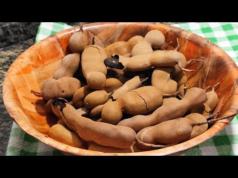 Tamarind juice: this fruit is rich in vitamins, refreshing, nourishing, and helps control high bl...