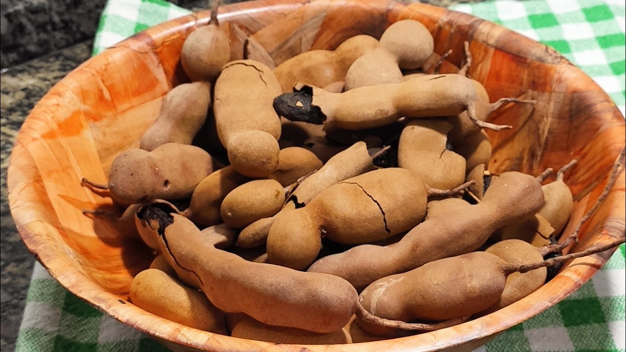 Suco de Tamarindo essa fruta é rica em vitaminas,refresca nutre ,controla pressão alta e diabetes!