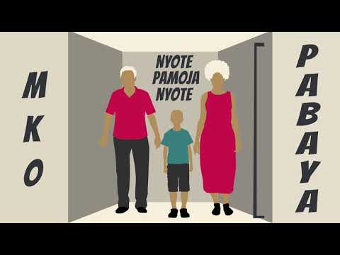 H_ART THE BAND - PAPAYA FAMILY ( OFFICIAL VISUALIZER )