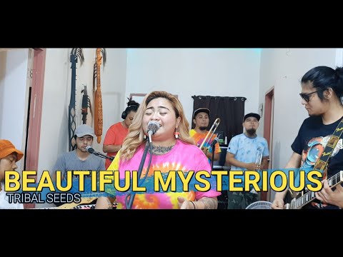Beautiful Mysterious - Tribal Seeds | Kuerdas Cover