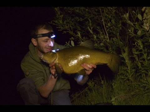 Spring Gravel Pit Tench Fishing (99.2)