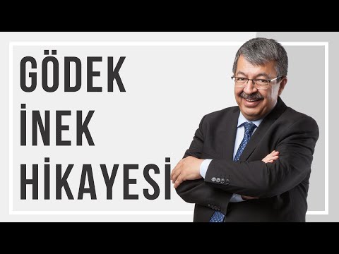 GÖDEK İNEK HİKAYESİ | Hayati İnanç - Bir Kıssa