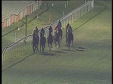 Galoppo 08/01/2020 - 5ª corsa