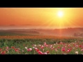 The Sound of Music  -  Morning Hymn & Alleluia