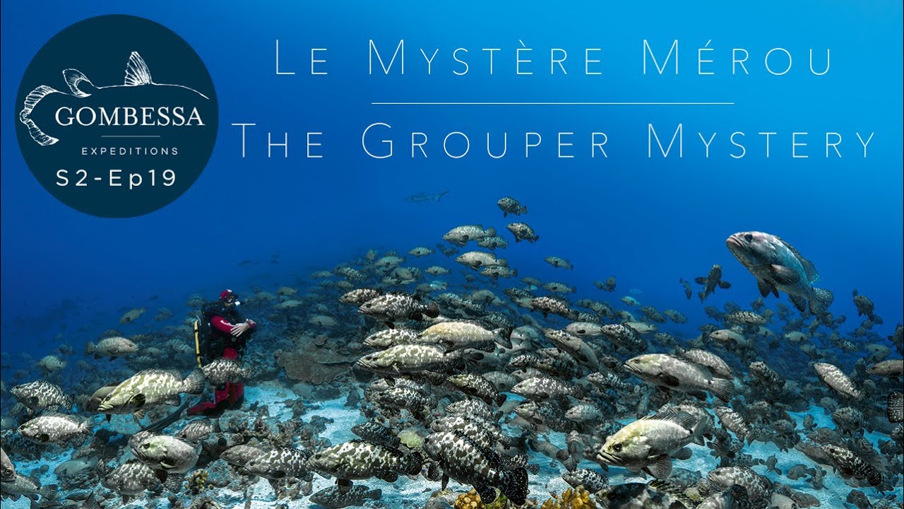 Gombessa II - Mystère Mérou - Ep19