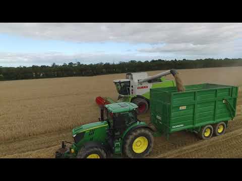 Clarke’s | Dual wheeled combine cutting spring barley 2020