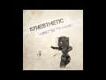 Official - Synesthetic - Addicted To Music