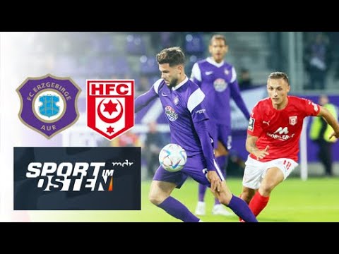 Testspiel: FC Erzgebirge Aue - Hallescher FC