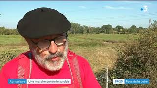 JT 19/20 Pays de la Loire