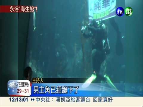 海生館情侶檔 上演七夕浪漫求婚